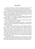 Referāts 'Lietuviešu valoda', 2.