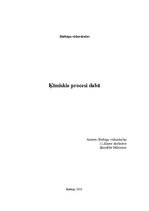 Referāts 'Ķīmiskie procesi dabā', 1.