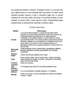 Referāts 'Ķīmiskie procesi dabā', 4.