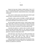 Prakses atskaite 'Grāmatvedības prakses pārskats SIA "X"', 3.