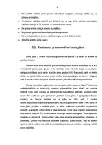 Prakses atskaite 'Grāmatvedības prakses pārskats SIA "X"', 8.