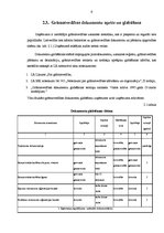 Prakses atskaite 'Grāmatvedības prakses pārskats SIA "X"', 9.