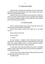 Prakses atskaite 'Grāmatvedības prakses pārskats SIA "X"', 18.