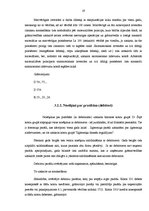 Prakses atskaite 'Grāmatvedības prakses pārskats SIA "X"', 19.