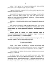 Prakses atskaite 'Grāmatvedības prakses pārskats SIA "X"', 27.