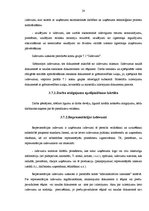 Prakses atskaite 'Grāmatvedības prakses pārskats SIA "X"', 28.