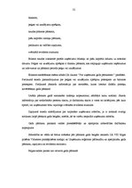 Prakses atskaite 'Grāmatvedības prakses pārskats SIA "X"', 32.