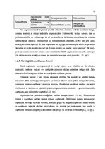 Diplomdarbs 'AS "Cesvaines piens" attīstības stratēģijas izstrāde', 22.
