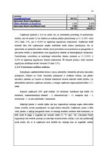 Diplomdarbs 'AS "Cesvaines piens" attīstības stratēģijas izstrāde', 60.