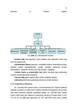 Diplomdarbs 'AS "Cesvaines piens" attīstības stratēģijas izstrāde', 61.