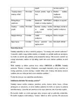 Paraugs 'SEM nodarbības plāns', 4.