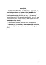 Referāts 'Ķēžu teorija', 24.