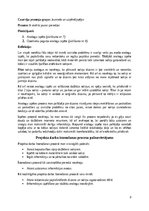 Referāts 'Projekta darba portfolio - Soliņš ar jumtiņu', 8.