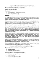 Referāts 'Projekta darba portfolio - Soliņš ar jumtiņu', 12.