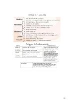 Referāts 'Projekta darba portfolio - Soliņš ar jumtiņu', 18.