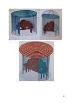 Referāts 'Projekta darba portfolio - Soliņš ar jumtiņu', 25.