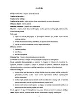 Referāts 'Projektu darbs sākumskolā', 2.