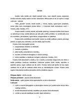 Referāts 'Projektu darbs sākumskolā', 4.