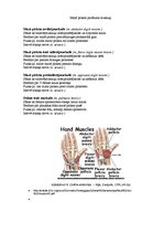 Konspekts 'Augšējo ekstremitāšu muskulatūra', 21.