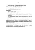 Referāts 'Cenu veidošanas stratēģija uzņēmumā', 15.