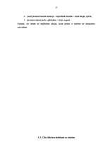 Referāts 'Cenu veidošanas stratēģija uzņēmumā', 17.