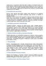 Konspekts 'Filosofija', 2.