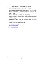 Referāts 'Partnerpilsētu - Melles un Jēkabpils - sadraudzības vēsture un attīstība', 25.