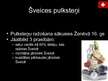 Prezentācija 'Šveice', 11.
