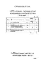 Biznesa plāns 'Biznesa plāns', 17.