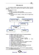 Biznesa plāns 'SIA "Shiitake"', 18.