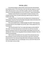 Eseja 'New York- the Big Apple', 2.