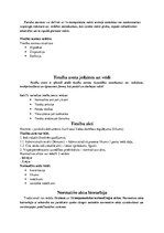 Konspekts 'Tiesību teorija', 3.