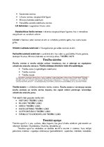 Konspekts 'Tiesību teorija', 4.