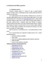 Prakses atskaite 'Finanšu analīze SIA "Y"', 4.