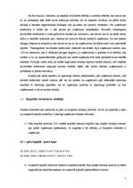 Prakses atskaite 'Finanšu analīze SIA "Y"', 7.