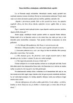 Referāts 'Ē.M.Remarka darba "Rietumu frontē bez pārmaiņām" analīze', 7.