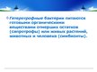 Prezentācija 'Бактерии', 7.
