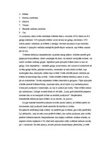 Referāts 'Dvēsele un tās skaidrojumi', 17.