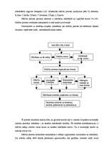 Referāts 'Teorētiskās nostādnes par mācību procesa organizēšanu', 4.