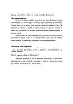 Referāts 'Ekotūrisma attīstība Dobeles rajonā', 30.