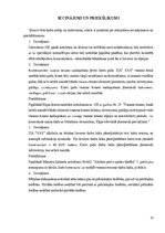 Prakses atskaite 'Prakses atskaite komerctiesībās', 11.