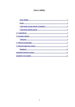 Referāts 'Snovborda attīstība un ienākšana Latvijas medijos', 2.