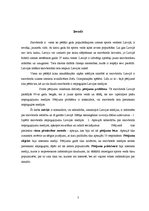 Referāts 'Snovborda attīstība un ienākšana Latvijas medijos', 3.