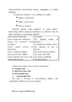 Konspekts 'Izglītības iestādes vadītājs', 8.