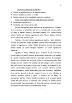 Referāts 'Patenta būtība', 4.