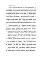 Referāts 'Patenta būtība', 5.