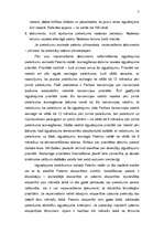 Referāts 'Patenta būtība', 7.