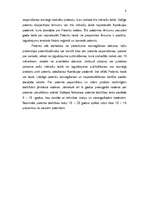 Referāts 'Patenta būtība', 8.