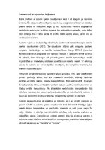 Eseja 'Autisms: personības, emociju un radošuma spektrs', 1.