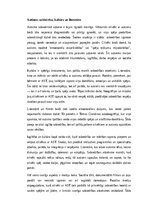 Eseja 'Autisms: personības, emociju un radošuma spektrs', 4.